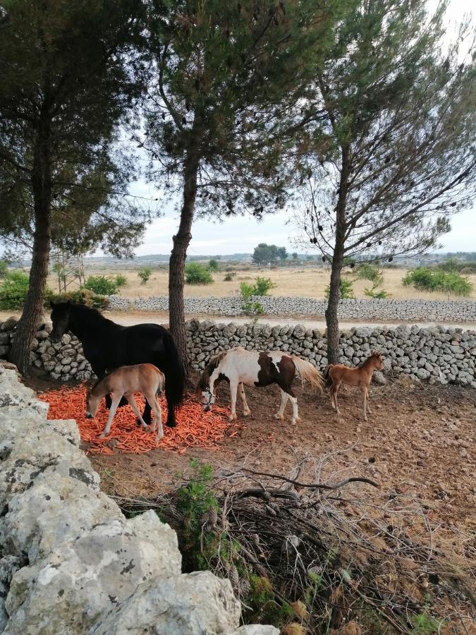 "Casa Vacanze Antica Cascina" Testa dellʼAcqua Kültér fotó