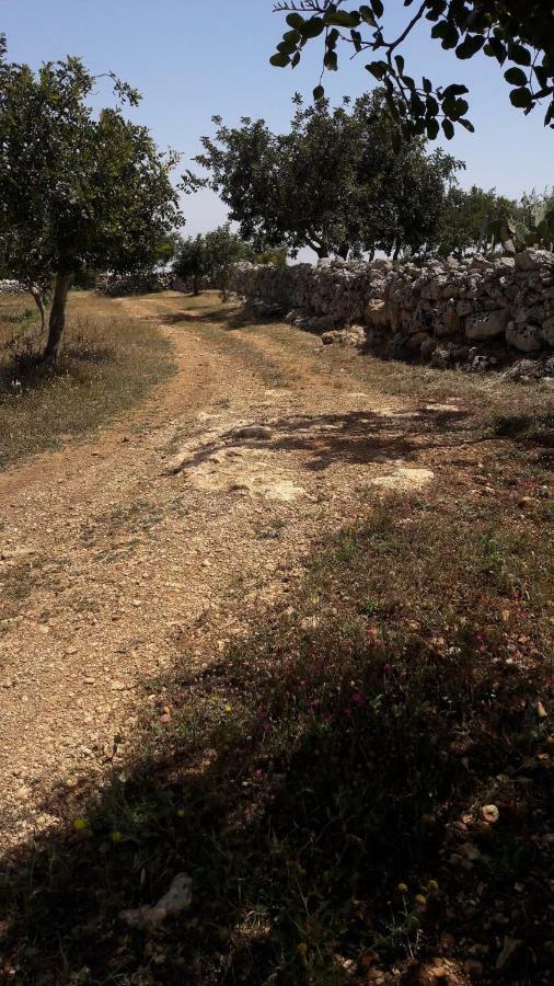 "Casa Vacanze Antica Cascina" Testa dellʼAcqua Kültér fotó